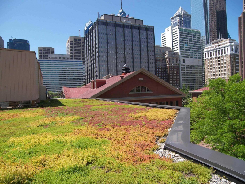 paysagiste-ST AUBAN-min_green-roof-portfolio-4